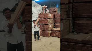 Woodworking tree timber logs by Reldor Lifestyles