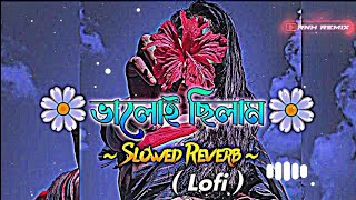 valoi_chilam_tore_valo_na_bese  Lofi |ভালোই_ছিলাম_তরে_ভালো_না_বেসে | (Slowed+Reverb) | Bangla Song