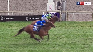 SHE FEELS PRETTY HOLDS ON ALL OUT! | She Feels Pretty denies Diamond Rain in the E P Taylor Stakes