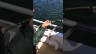 Porgy fishing Long Island sound on the never enuff