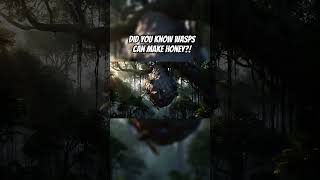 Black honey from wasps??