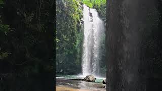 Waterfall Ambience 🌊 | Stress Relief, Sleep Aid & Mindfulness in  #naturesounds   #rainsoundscape
