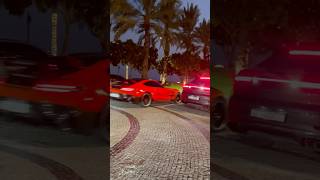 Super luxury life Dubai🔥