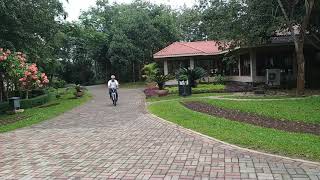 My cycling at Palace