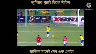 brazil manay agun