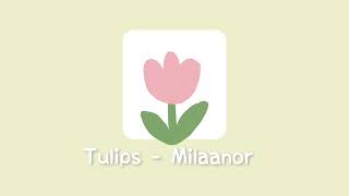 (no copyright music) “ Tulips” free aesthetic background music