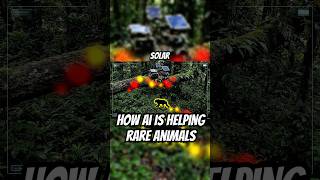 How AI Is Saving Endangered Wildlife