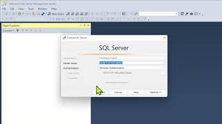 SQL Server: Install and Explore MS SQL Server