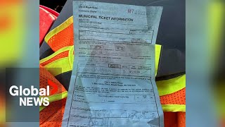 BC junk removal company caught dumping garbage in forest area