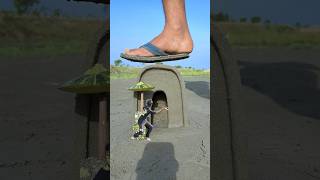 Creative Amazing Mobile 📱 Videography tutorial 👀 #tutorial #shorts #mobilevideography