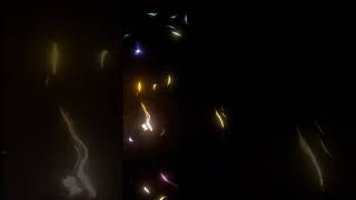 alight motion black screen video