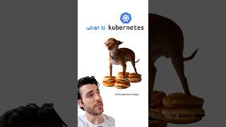 Kubernetes was hard, then I saw this chihuahua