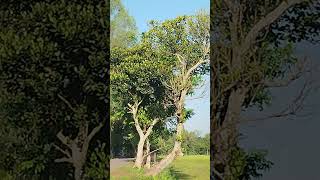 :#MothersDignity #MotherLove #RespectMother #UnconditionalLove #MomIsLife #MayerMorjada #MotherHeart