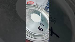 Discount/oops paint tip 🤩🤩 got some high quality paint for under $20 #diy  #homeimprovement