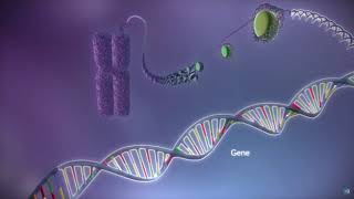 Designing Diagnostic Genetic Markers for R Pomonella