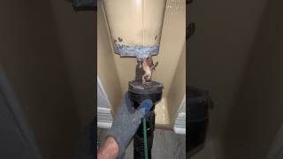 Dryer 🐸 HD repost #dryerventcleaning #laundry #cleaning #lint #firehazard #oddlysatisfying #frog