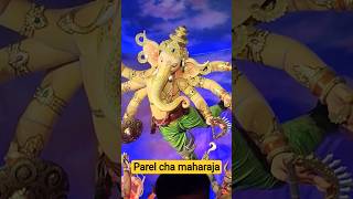 parelchamaharaja#ganpatibappa#ganpatibappamorya#ganeshchaturthiwhatsappstatus