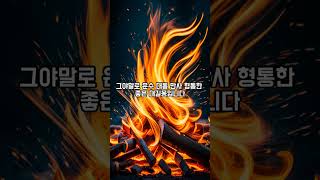 불관 관련된 꿈들 #불꿈 #불을본꿈 #불난꿈