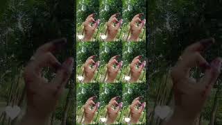 #shorts #video #banglasongwhatsappstatus #viralvideo