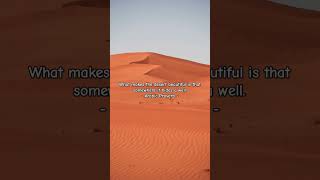 What makes the desert beautiful? #desert #easterndesert #westerndesert #desertsands #desertbeauty