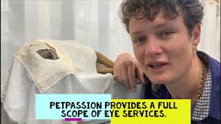 PetPassion Animal Care Eyes