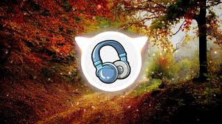 Altero - Crazy (Vlog No Copyright Music)
