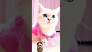 #cat #duniakucinglucu #kucinglucu #kucingluculucu #kucing #kucingkucinglucu #cutecat #komedikucing