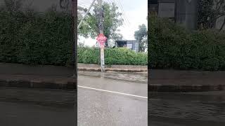 #bengalilofisong