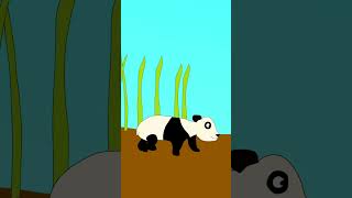 Panda | 🐼 | Toon Boom Harmony Animation