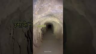 facts video | #viral #ytshorts #shorts #facts #interesting #shortvideos