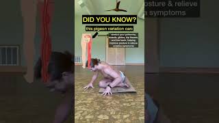 Pigeon pose is PACKED with benefits  🙏🏼 #pigeonpose #pogeonposeyoga #sciatica #shorts