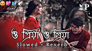 ও পিয়া রে পিয়া🍁| Lofi Song | O Piya Re Piya | Slowed+Reverb | Arijit Singh| Bengali love