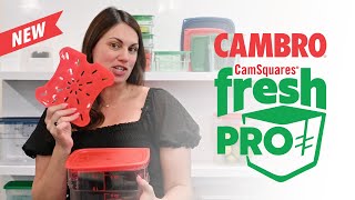 The One Food Storage System Every Chef Needs!