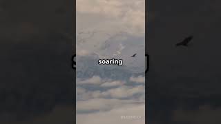 Wild Adventures in our planet