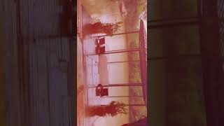 Sarah Resort, Gazipur