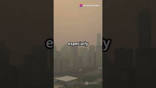 Top 5 Countries Fueling Climate #ClimateChange #GlobalWarming #EcoAwareness #SustainableFuture