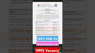 IBPS RRB XII Notifications out 2024 #ibps #ibpsnotification #rrb #ibpsrrb #bankingjobs #ibps2024
