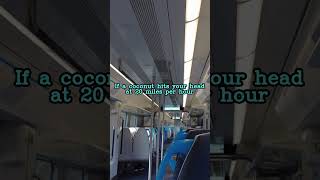 #CoconutsAreDangerous #NatureIsScary