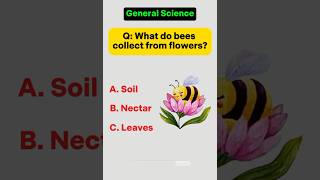 一般科学クイズ