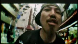 REVOLVERS - EDO