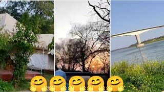 My Ranthambore trip with office colleague 🤟🤟😜✨