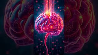 Exploring the Unseen Connections Between AI and Brain Potential
