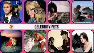 Celebrity Pets: Stories Behind the Cutest Companions