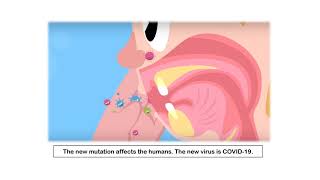 WHAT IS COVID – 19  PRE A1  ACTIVITY 1   fv