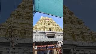 Rameshwaram Jyotirlinga Darshan #rameshwaram #jyotirlingas #trendingshorts #shivlinga #shorts