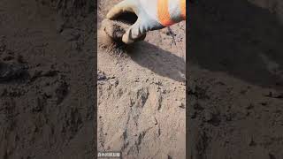 💯 LOOKING LIKE A MAGNET | FROM HIS CIRCLES FINDING IRONS.