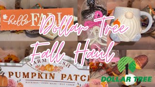 Dollar Tree Spooky Fall Haul 🍁🎃👻 #dollartree #halloween2024 #haul #spookyseason #fallfinds