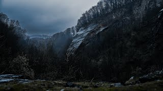 Valley of the Giants - Soft Rain  [4K] | WHITE NOISE | STUDY | SLEEP |