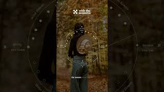 Chinese Medicine Seasonal Thinking