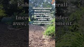 Healing isn't just symptom resolution... #mindbodywellness #nervoussystem #emotionalresilience